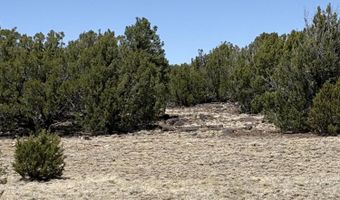 Tbd CR 8060, Concho, AZ 85924