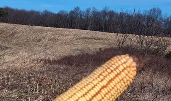 108 Bayer Rd, Augusta, WV 26704