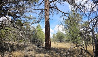 Canvasback Drive 32, Bonanza, OR 97623
