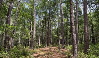 Fox Paw Court, Branchville, SC 29432