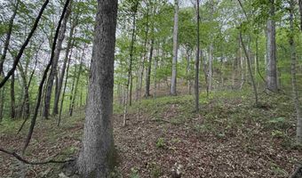 7046 S State Road 145, Birdseye, IN 47513