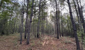 741 SE Hughs Hill Ln, Brookhaven, MS 39601