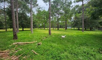 786 Blackberry Rd, Baconton, GA 31716