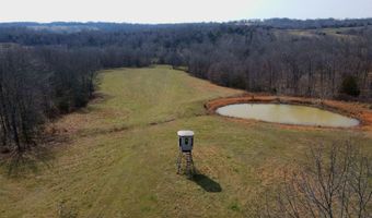 Rr 1 Box 6548, Ava, MO 65608