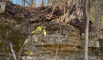 000 Tbd County Rd T-541, Ava, MO 65608