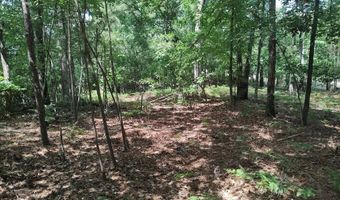 203 Saluda Bluff Rd, Batesburg Leesville, SC 29006