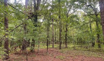 0 Dove Ct, Lincolnton, GA 30817