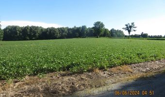 192 CR 1320 New Laketon Road, Bardwell, KY 42023