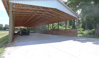 2121 Whitetail Rd, Blackville, SC 29817