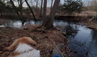 4775 S 50th Rd, Aldrich, MO 65601