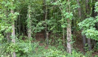 Lot 1-D Daniels Lane, Bennettsville, SC 29512