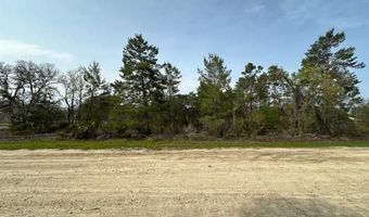 11850 NE 108 St, Archer, FL 32608