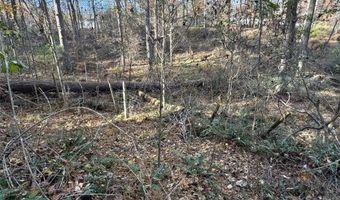 99999 Macedonia Rd, Alexander, NC 28701