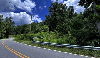 TBD Paint Fork Rd, Barnardsville, NC 28709