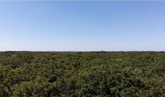Lot 19 Saddle Creek Ct, Alba, TX 75410