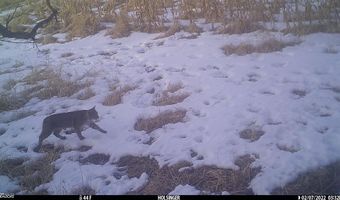 189 Th St, Albia, IA 52531