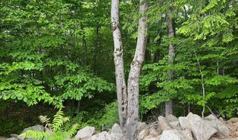 7 Beechwoods At Intervale Dr, Bartlett, NH 03812