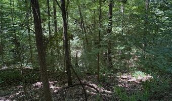 106 B Calico Ct, Alberta, AL 36720