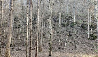 8648 Groundhog Rd, Adger, AL 35006