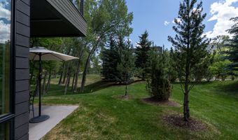 102 Evans Rd 101, Basalt, CO 81621