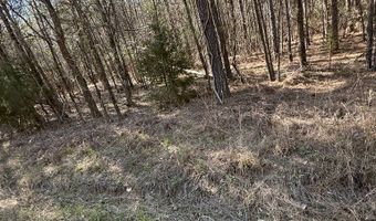 0 Markham Road Tract 4, Bradley, SC 29819