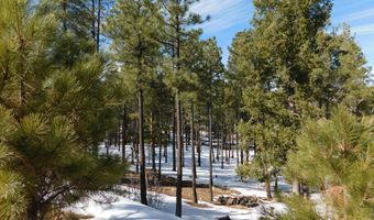 Lot 29 Eric Lane, Alpine, AZ 85920