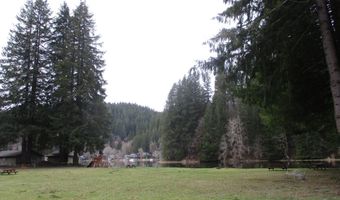 71381 FISHHAWK Rd, Birkenfeld, OR 97016