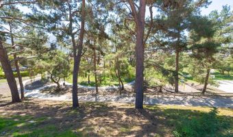 10477 Pine Grv, Spring Valley, CA 91978