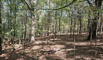 Ales Rd, Batesville, MS 38606