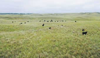 755 90 +/- Acres, Arnold, NE 69120