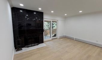 910 W Hallam St 12, Aspen, CO 81611