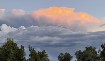 105 County Road N9328, Concho, AZ 85924