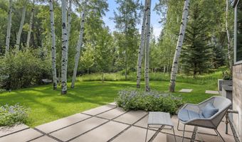 1180 Black Birch Dr, Aspen, CO 81611