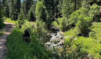 Lot 1 Middle Creek Rd, Beulah, CO 81023