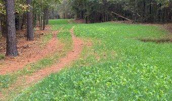00 Old Plain Dealing Rd, Benton, LA 71006
