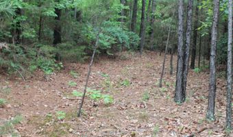 E Mountain Road, Bee Branch, AR 72013