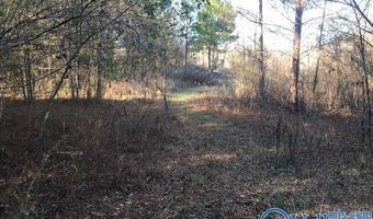 6777 Hwy 207, Anderson, AL 35610