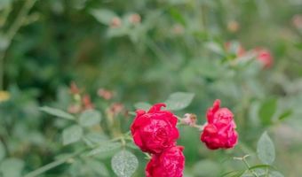 273 Holmesville Ave, Baxley, GA 31513