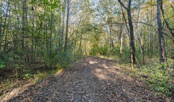 VL 61acres 34th, Allegan, MI 49010