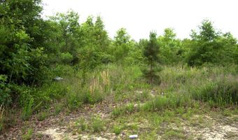 118 LR 27, Ashdown, AR 71822