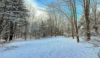 00 Fawn Lake Rd, Addison, NY 14801