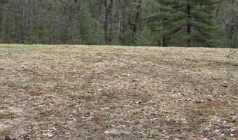 VL Pineview Court, Alger, MI 48610