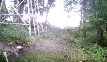 6499 Tubspring, Almont, MI 48003