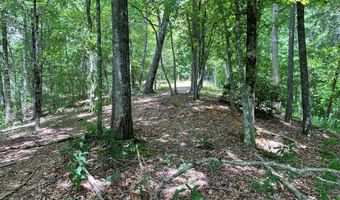 21 Collett Woods Trl Lot #21, Andrews, NC 28901
