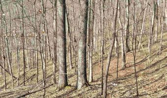 3938 Saint Clara Rd, Alum Bridge, WV 26321