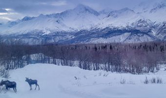 45161 Glenn Hwy, Chickaloon, AK 99674