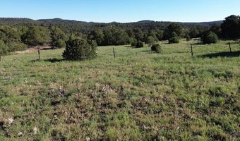 Picketwire Rd, Boncarbo, CO 81024