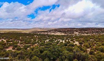 Tbd Co Rd 8256 Lot E 10 Acres, Concho, AZ 85924