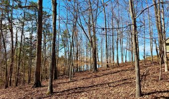 Lake Vista Drive lot 37, Baneberry, TN 37890