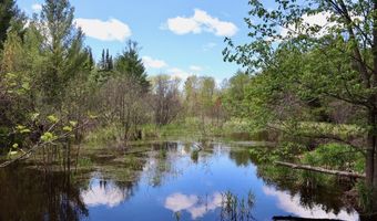 5826 S Morrison Rd, Alger, MI 48610